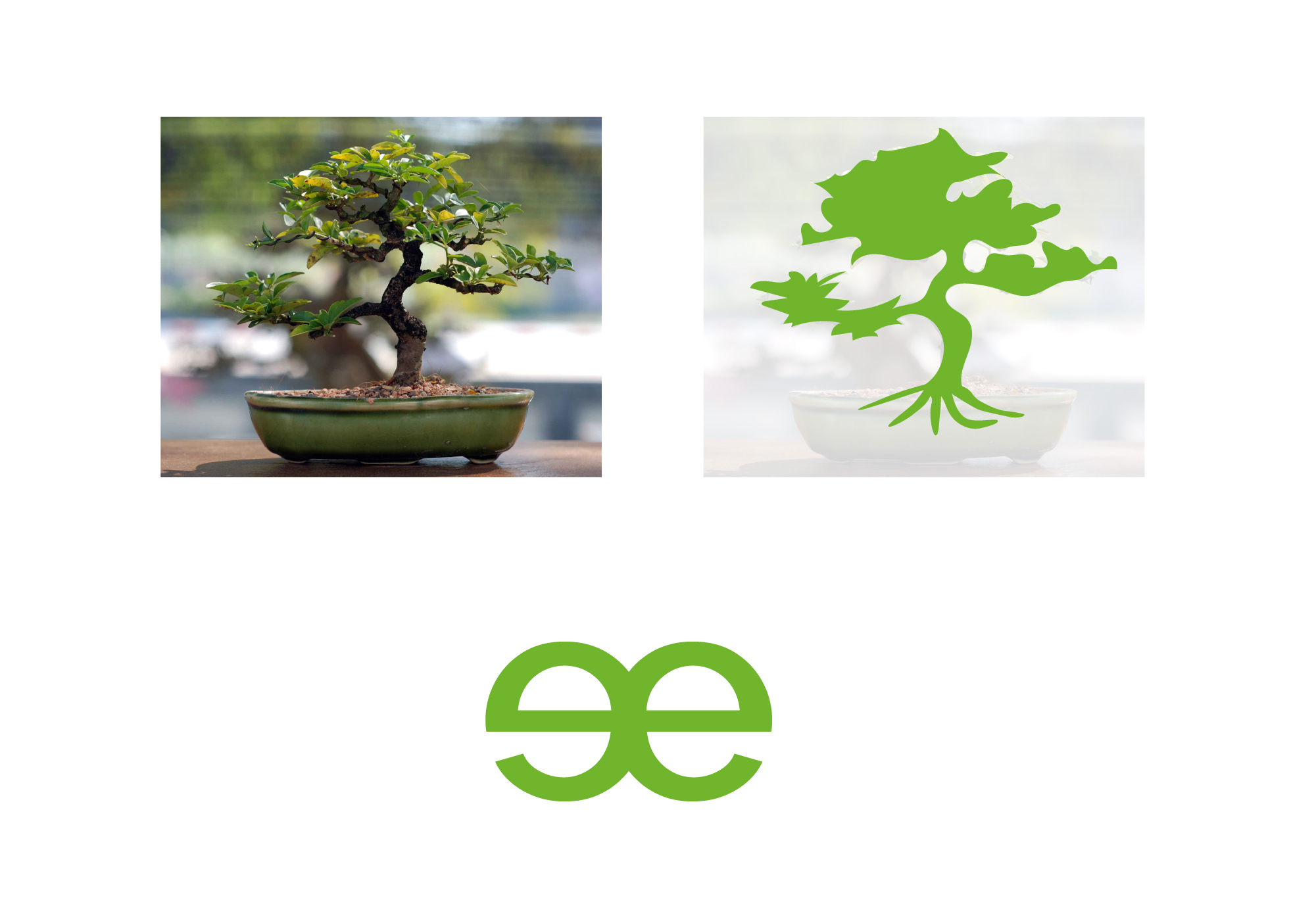 Identidade Visual e Projeto de Embalagens - Imagem 1