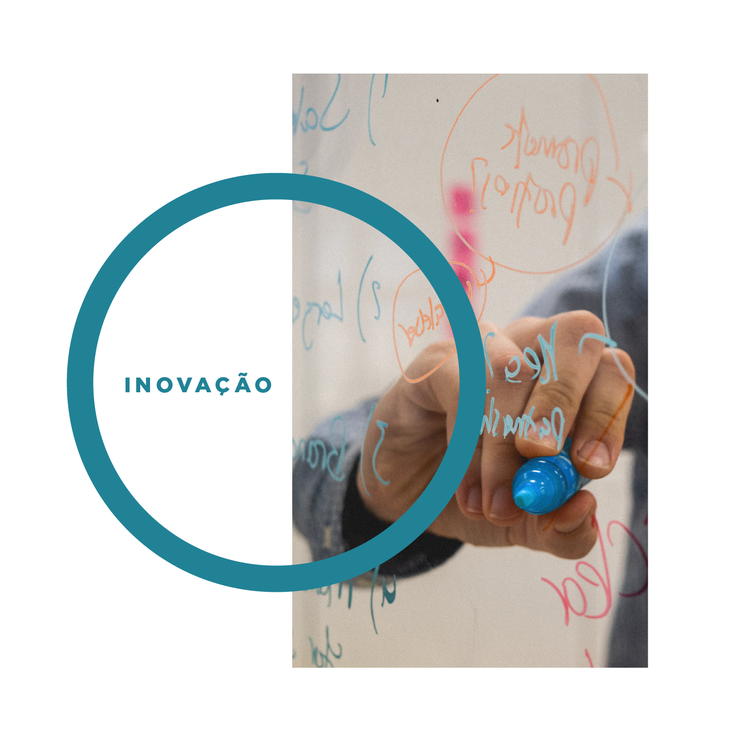 Inga - Imagem 5