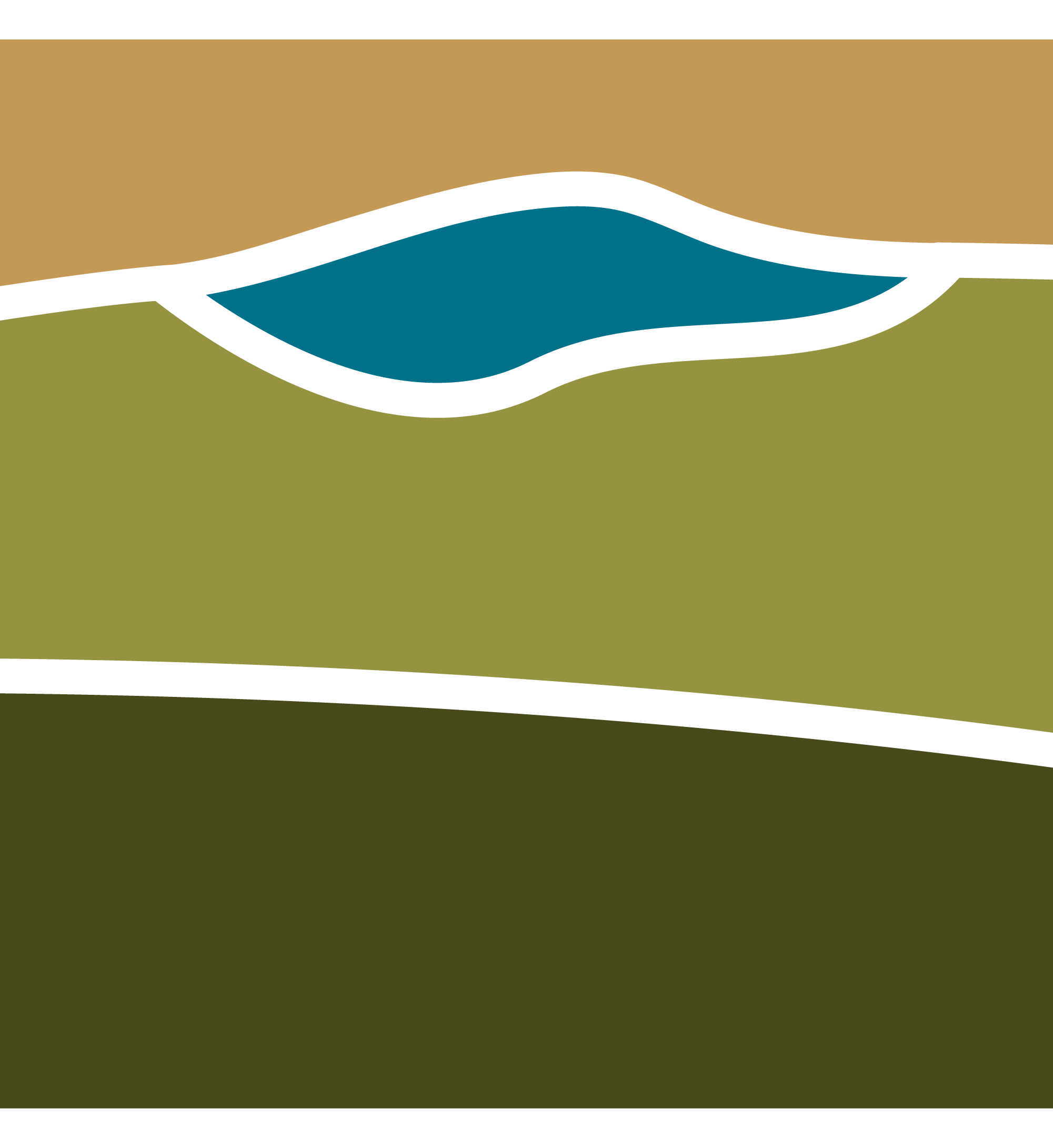 Identidade visual Plano de Ação Territorial Campanha Sul e Serra do
Sudeste - Imagem 10